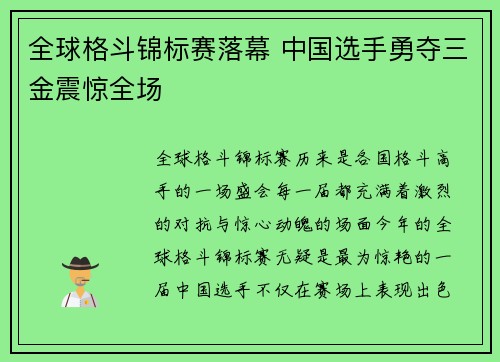 全球格斗锦标赛落幕 中国选手勇夺三金震惊全场