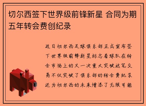 切尔西签下世界级前锋新星 合同为期五年转会费创纪录