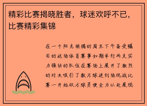精彩比赛揭晓胜者，球迷欢呼不已，比赛精彩集锦