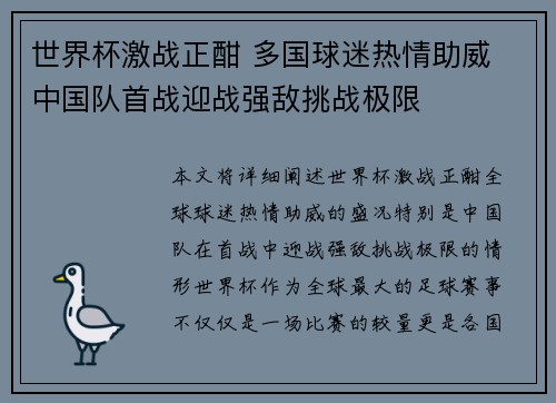 世界杯激战正酣 多国球迷热情助威 中国队首战迎战强敌挑战极限